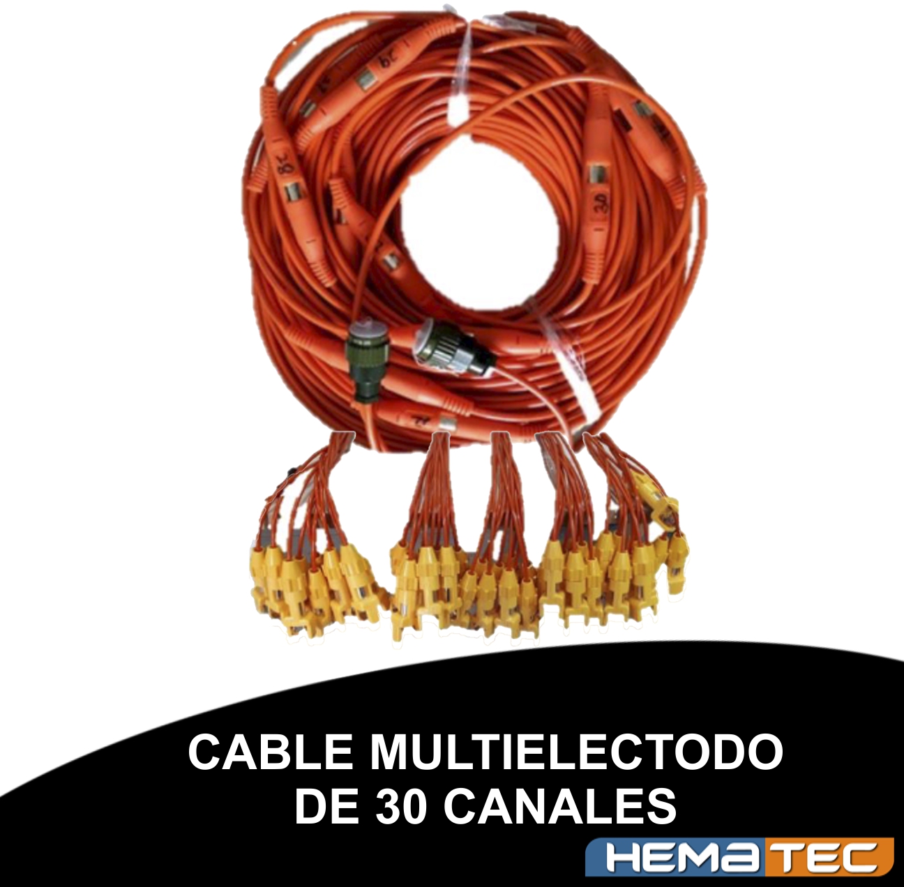 Imagen no disponible.